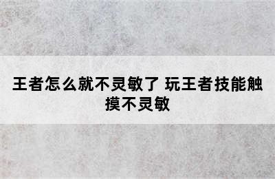 王者怎么就不灵敏了 玩王者技能触摸不灵敏